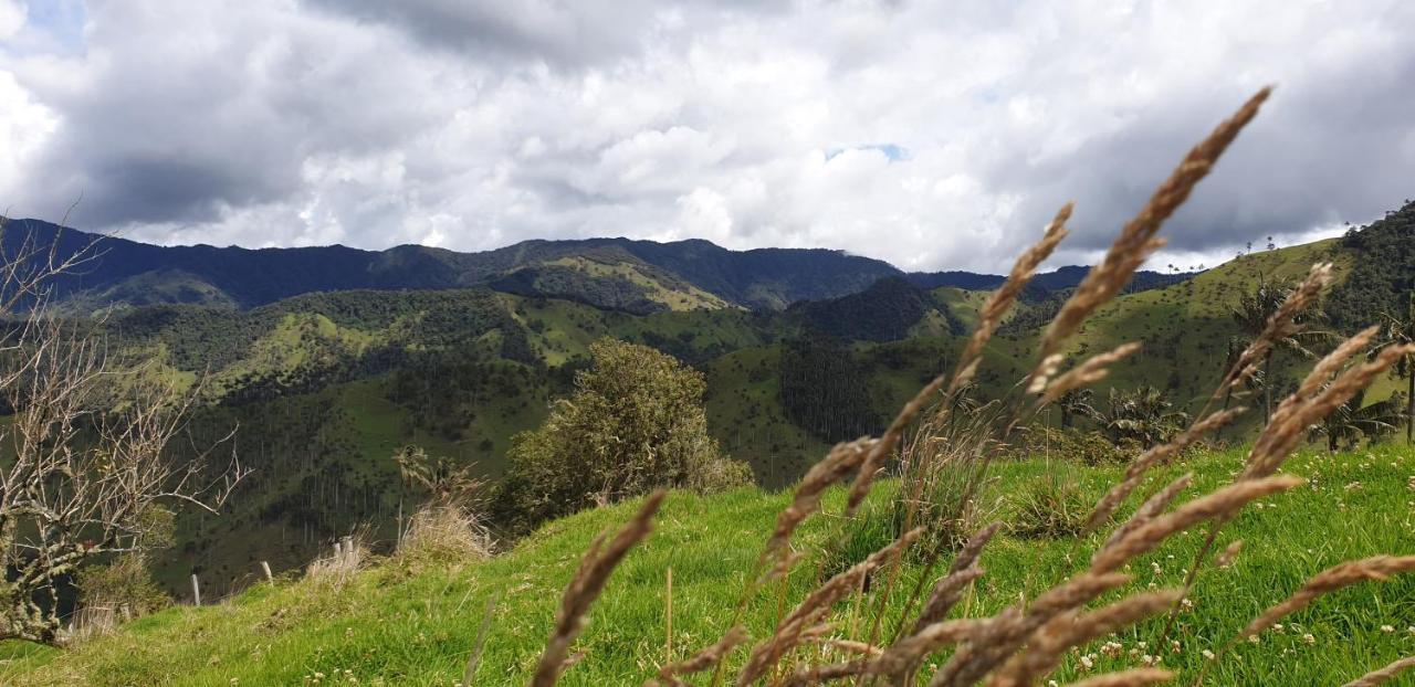 Posada Martha Tolima ซาเลนโต ภายนอก รูปภาพ